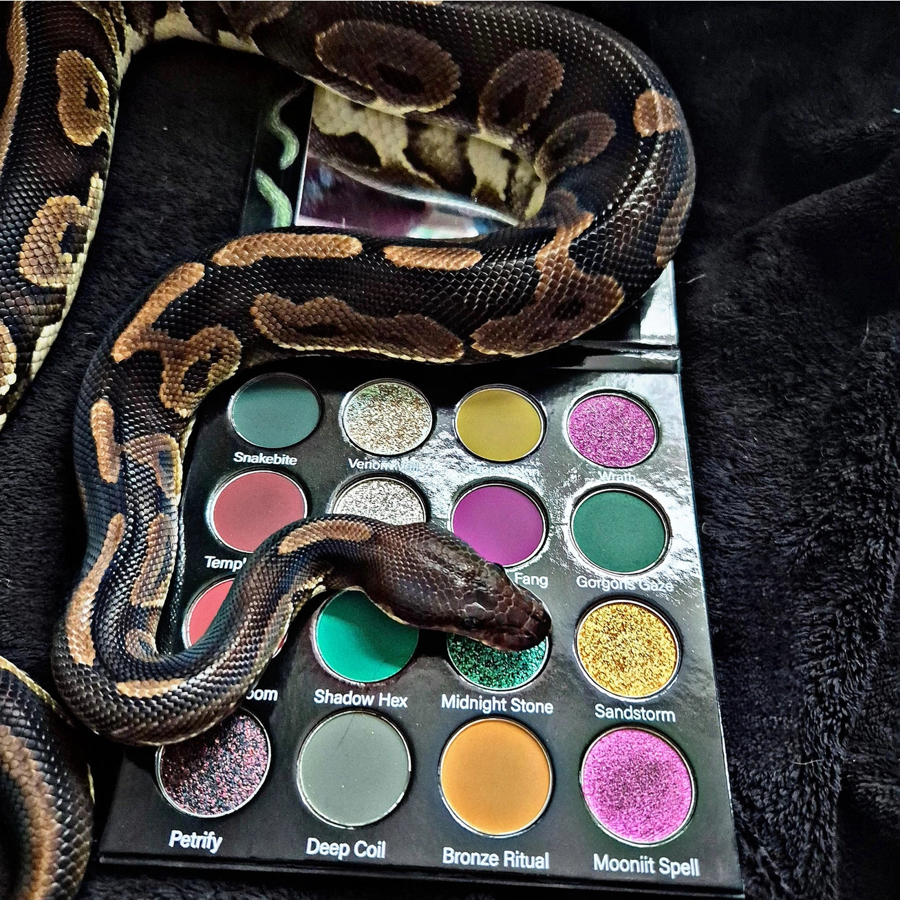 Beauty Moon Cosmetics - Medusa